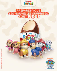 - Kinder Surprise - Pat Patrouille - 20 gr